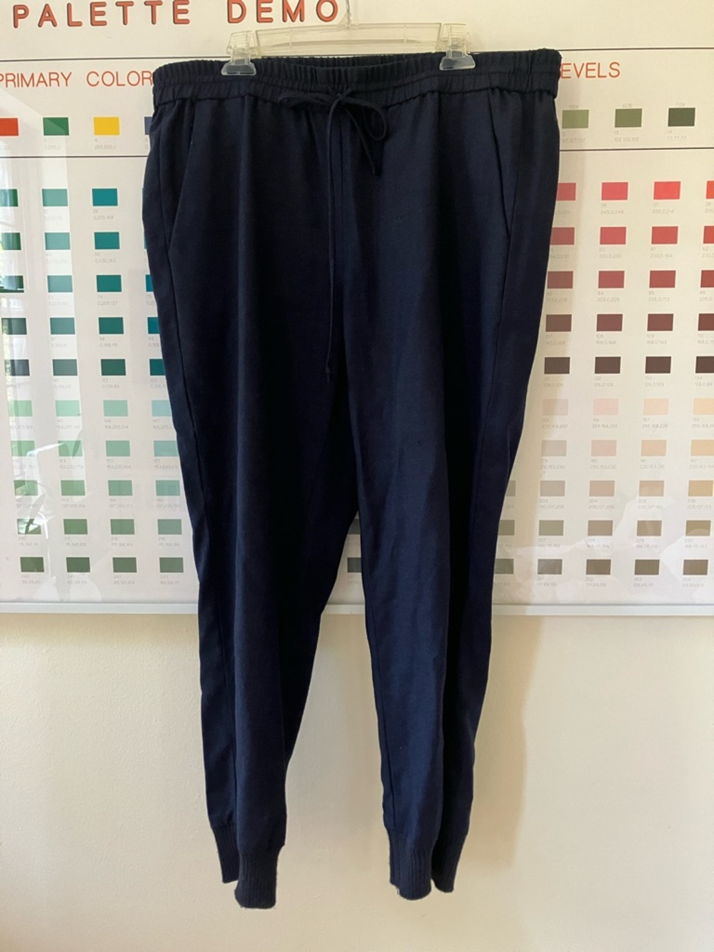 J. Crew Navy Wool Drawstring Pants Sz 8P